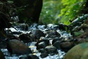 About header still