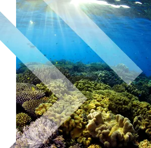 Undersea BG 01