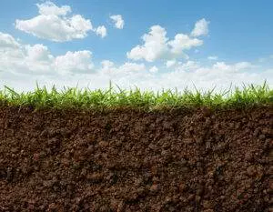 Soil Association