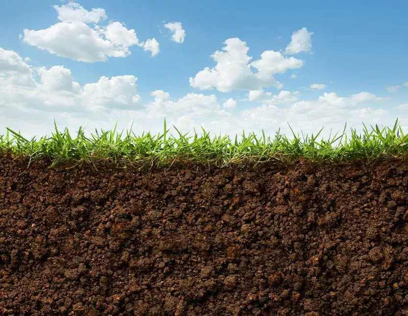 Soil Association 1 Soil Association