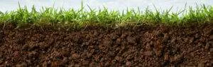 Soil Association banner