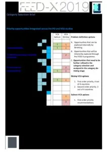 FEED X PD category selection brief 31102018 pdf