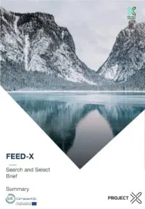 FEED X S S Brief Decision tree summary 2019 pdf