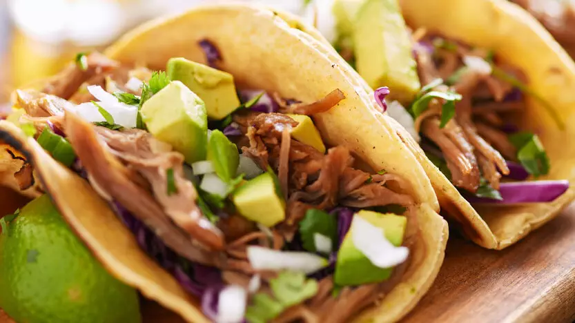mealworms taco - Tebrito